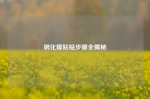 钢化膜粘贴步骤全揭秘