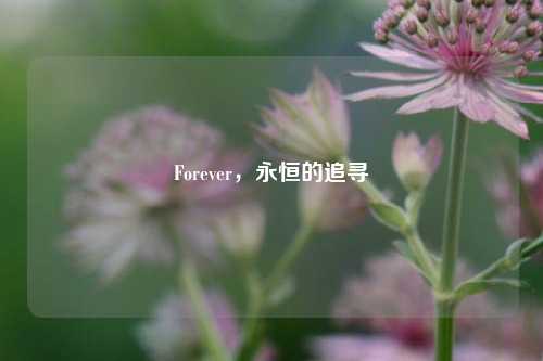 Forever，永恒的追寻