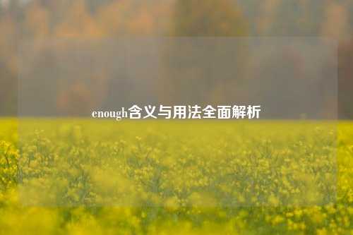 enough含义与用法全面解析