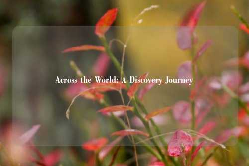 Across the World: A Discovery Journey