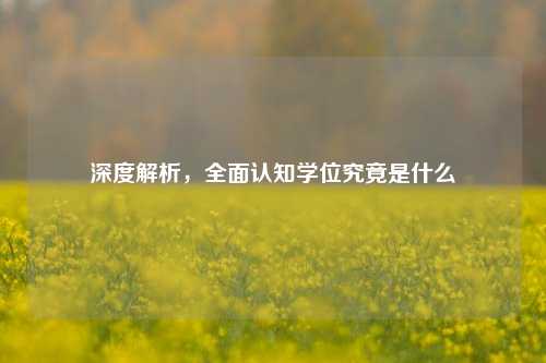 深度解析,全面认知学位究竟是什么