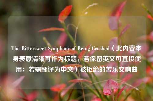 The Bittersweet Symphony of Being Crushed(此内容本身表意清晰可作为标题,若保留英文可直接使用;若需翻译为中文)被拒绝的苦乐交响曲