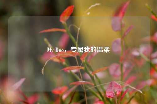 My Boo,专属我的温柔