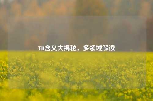 TD含义大揭秘，多领域解读