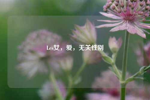 Les女,爱,无关性别