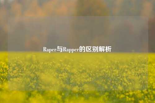 Raper与Rapper的区别解析