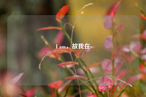 I am,故我在