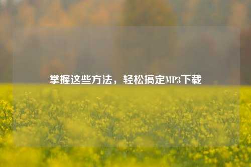 掌握这些方法,轻松搞定MP3下载