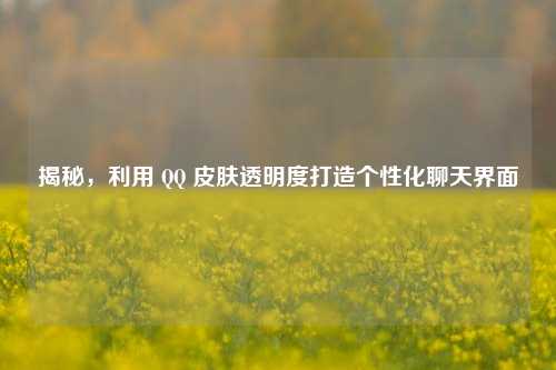 揭秘,利用 QQ 皮肤透明度打造个性化聊天界面