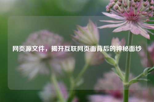 网页源文件，揭开互联网页面背后的神秘面纱