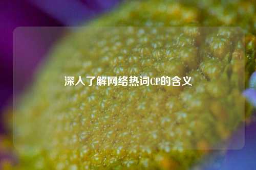 深入了解网络热词CP的含义