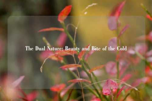The Dual Nature: Beauty and Bite of the Cold
