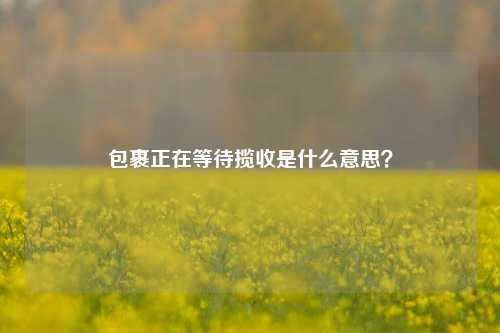 包裹正在等待揽收是什么意思?
