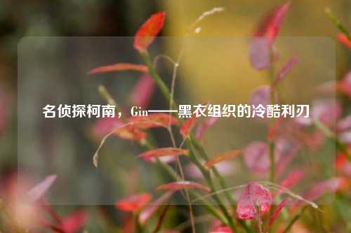名侦探柯南，Gin——黑衣组织的冷酷利刃