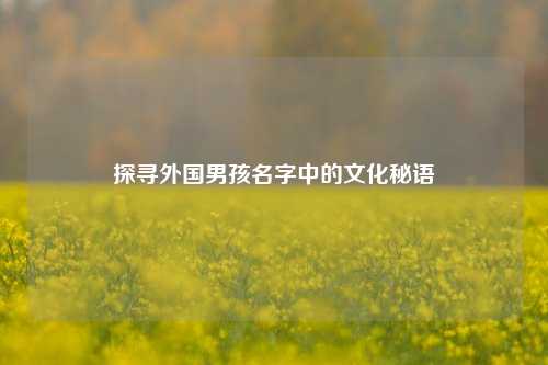 探寻外国男孩名字中的文化秘语