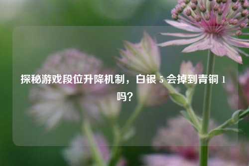 探秘游戏段位升降机制，白银 5 会掉到青铜 1 吗？