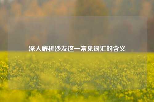 深入解析沙发这一常见词汇的含义