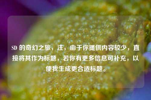 SD 的奇幻之旅，注，由于你提供内容较少，直接将其作为标题，若你有更多信息可补充，以便我生成更合适标题。