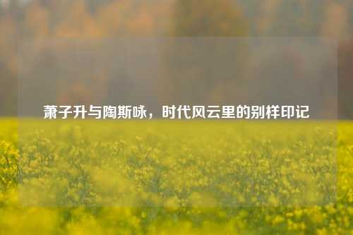 萧子升与陶斯咏，时代风云里的别样印记