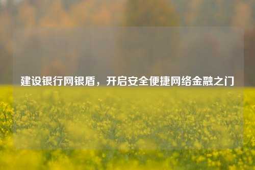 建设银行网银盾,开启安全便捷网络金融之门