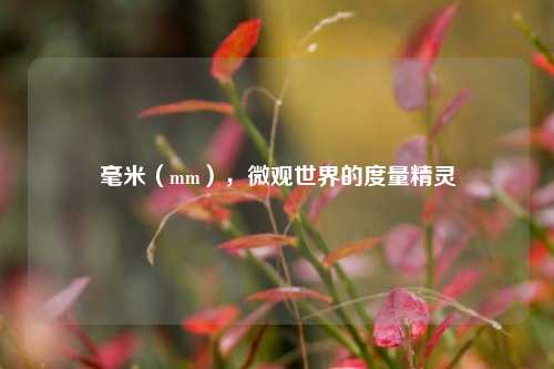 毫米(mm),微观世界的度量精灵