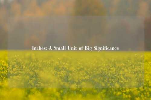 Inches: A Small Unit of Big Significance