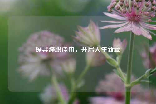 探寻辞职佳由，开启人生新章