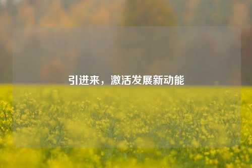 引进来，激活发展新动能