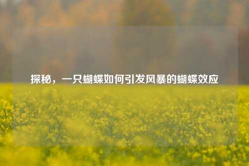 探秘，一只蝴蝶如何引发风暴的蝴蝶效应