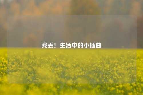 我丢！生活中的小插曲