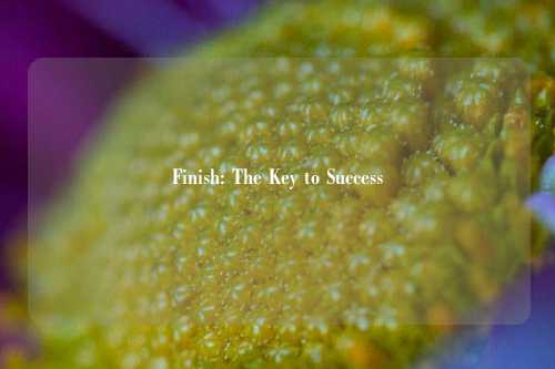 Finish: The Key to Success