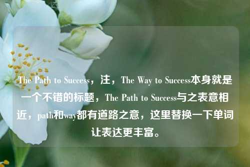 The Path to Success，注，The Way to Success本身就是一个不错的标题，The Path to Success与之表意相近，path和way都有道路之意，这里替换一下单词让表达更丰富。