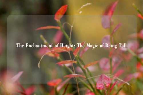 The Enchantment of Height: The Magic of Being Tall