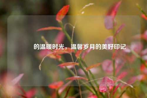 嬢嬢的温暖时光，温馨岁月的美好印记