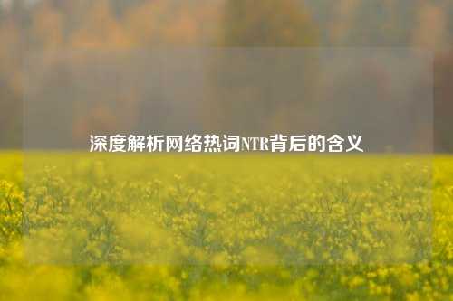 深度解析网络热词NTR背后的含义