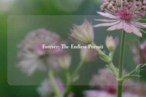 Forever: The Endless Pursuit