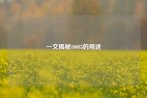 一文揭秘10085的用途