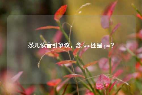 茶兀读音引争议,念 wu 还是 pai?