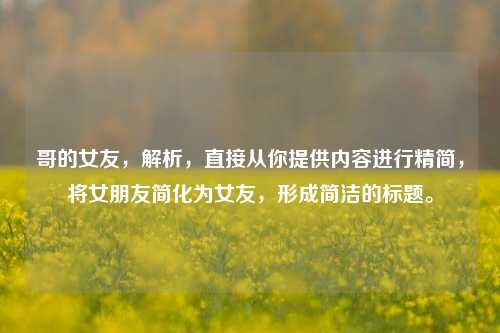 哥的女友,解析,直接从你提供内容进行精简,将女朋友简化为女友,形成简洁的标题。
