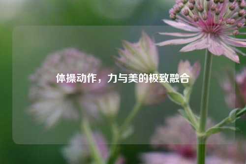 体操动作，力与美的极致融合