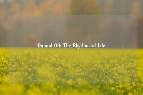 On and Off: The Rhythms of Life