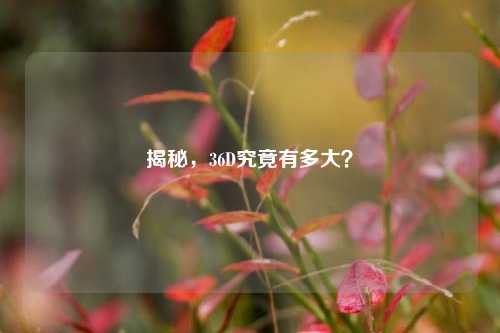 揭秘，36D究竟有多大？
