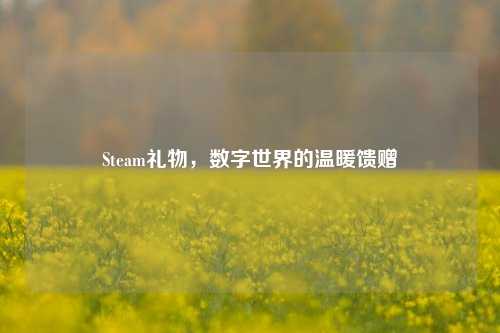 Steam礼物，数字世界的温暖馈赠