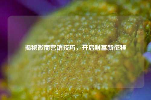 揭秘微商营销技巧，开启财富新征程