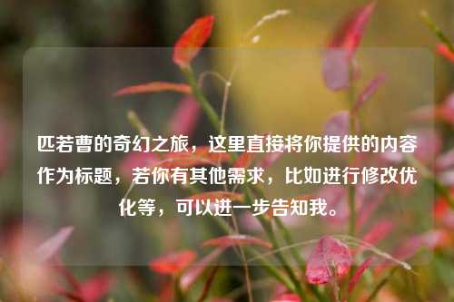 匹若曹的奇幻之旅,这里直接将你提供的内容作为标题,若你有其他需求,比如进行修改优化等,可以进一步告知我。