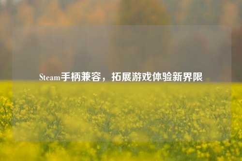 Steam手柄兼容，拓展游戏体验新界限