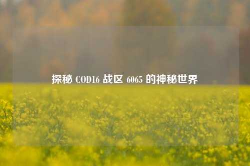 探秘 COD16 战区 6065 的神秘世界