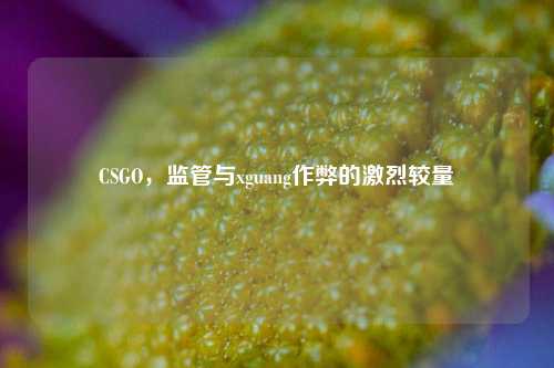CSGO，监管与xguang作弊的激烈较量