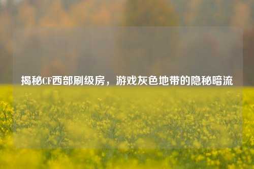 揭秘CF西部刷级房，游戏灰色地带的隐秘暗流