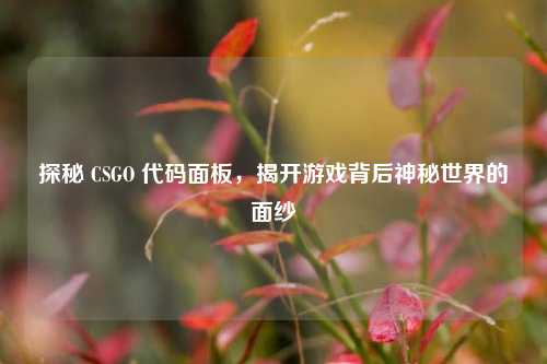 探秘 CSGO 代码面板，揭开游戏背后神秘世界的面纱